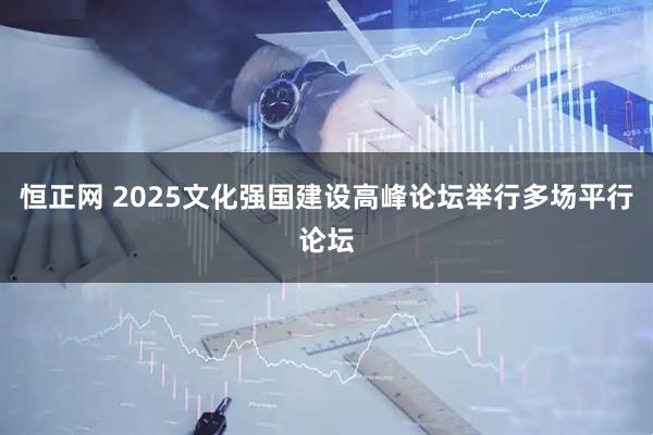 恒正网 2025文化强国建设高峰论坛举行多场平行论坛