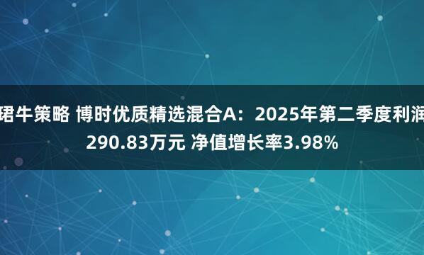 珺牛策略 博时优质精选混合A：2025年第二季度利润290.83万元 净值增长率3.98%