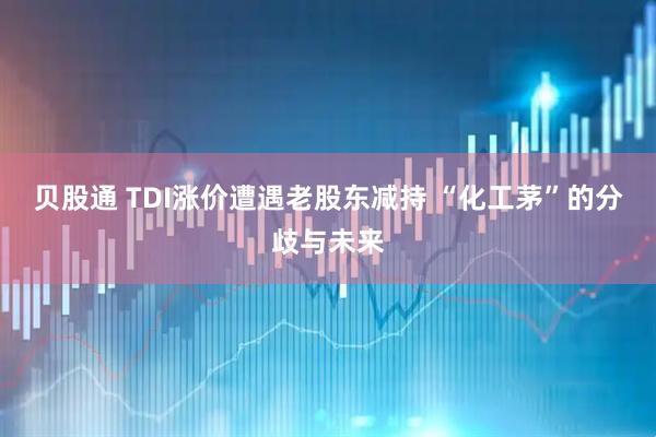 贝股通 TDI涨价遭遇老股东减持 “化工茅”的分歧与未来