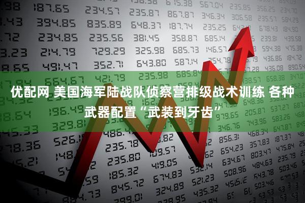优配网 美国海军陆战队侦察营排级战术训练 各种武器配置“武装到牙齿”