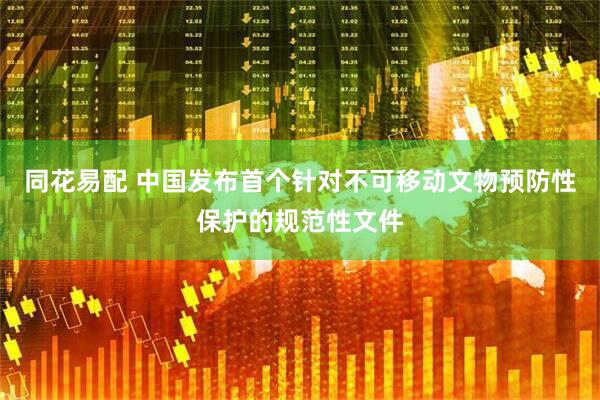 同花易配 中国发布首个针对不可移动文物预防性保护的规范性文件