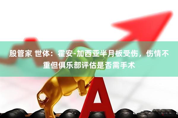 股管家 世体：霍安-加西亚半月板受伤，伤情不重但俱乐部评估是否需手术