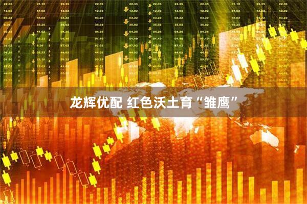 龙辉优配 红色沃土育“雏鹰”